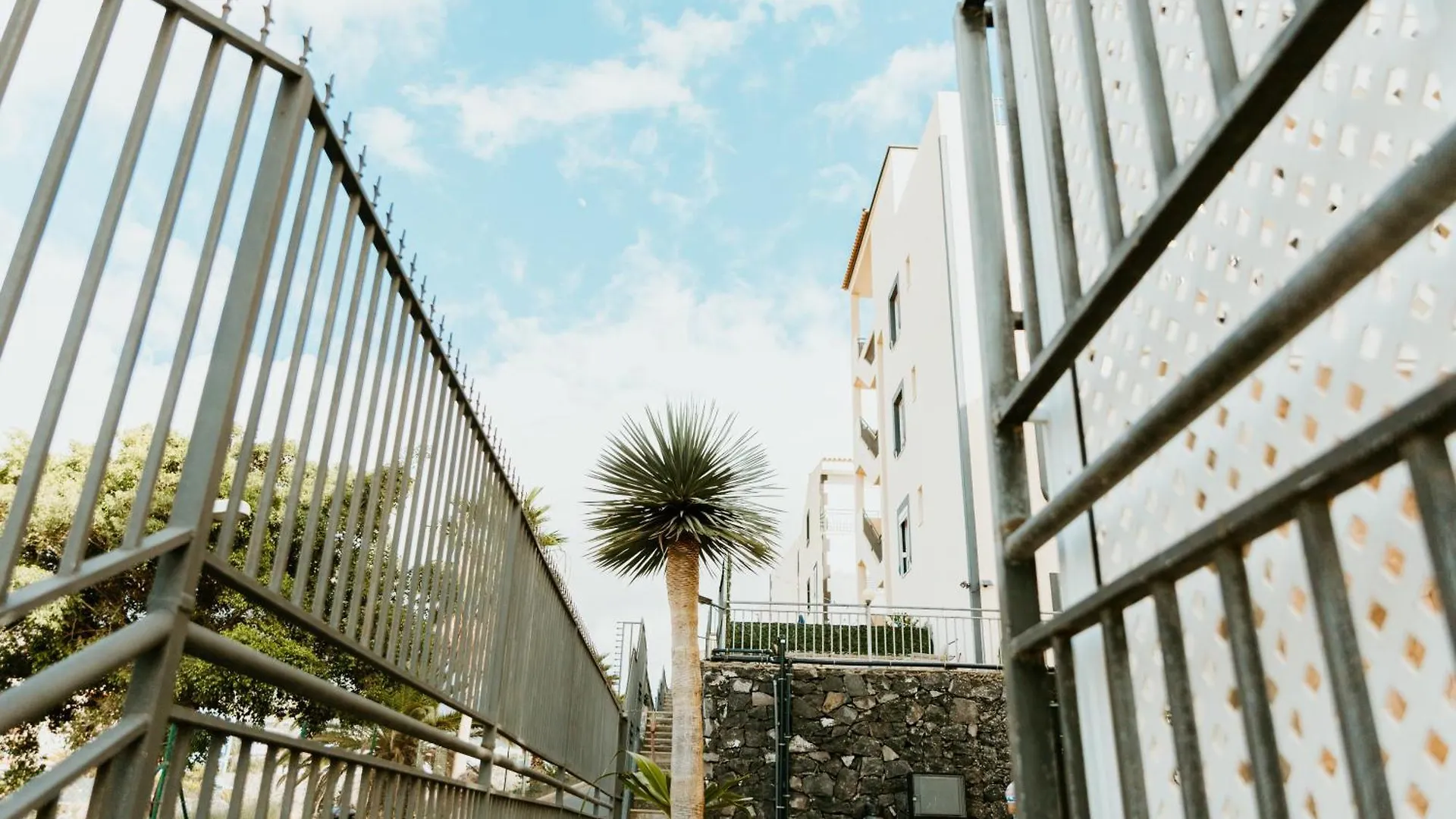 Spacious 2 Bedroom Golden Apartment By Aqua Vista Tenerife Callao Salvaje